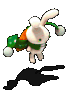 110951.gif
