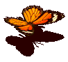 104556.gif